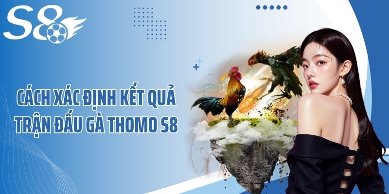 Cách xác định kết quả trận đấu gà Thomo S8