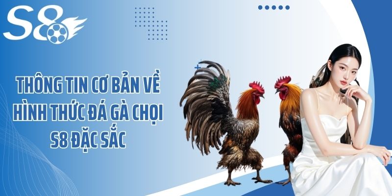 Thông tin cơ bản về hình thức đá gà chọi S8 đặc sắc